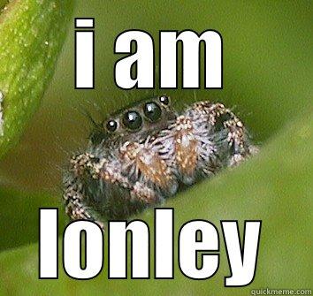 I AM LONLEY Misunderstood Spider