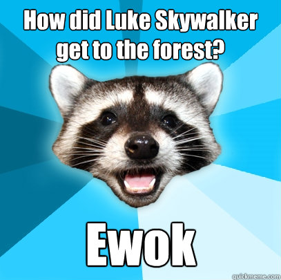 How did Luke Skywalker get to the forest? Ewok  Lame Pun Coon