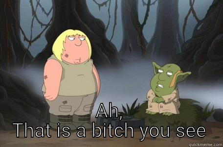  AH, THAT IS A BITCH YOU SEE Misc