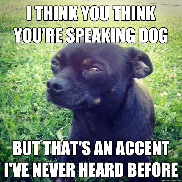 I think you think you're speaking Dog But that's an accent I've never heard before - I think you think you're speaking Dog But that's an accent I've never heard before  Skeptical Dog