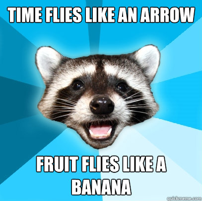 TIME FLIES LIKE AN ARROW FRUIT FLIES LIKE A BANANA  Lame Pun Coon