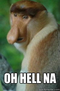  Oh hell na  Ghetto monkey