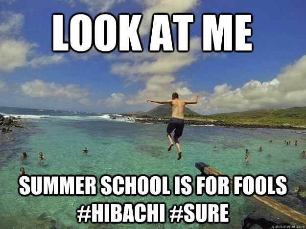 Look at Me Summer School is for Fools #hibachi #Sure - Look at Me Summer School is for Fools #hibachi #Sure  Misc