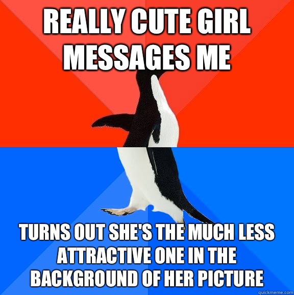 Really cute girl messages me Turns out she's the much less attractive one in the background of her picture  Socially Awesome Awkward Penguin