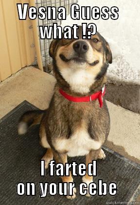 VESNA GUESS WHAT !? I FARTED ON YOUR CEBE  Good Dog Greg