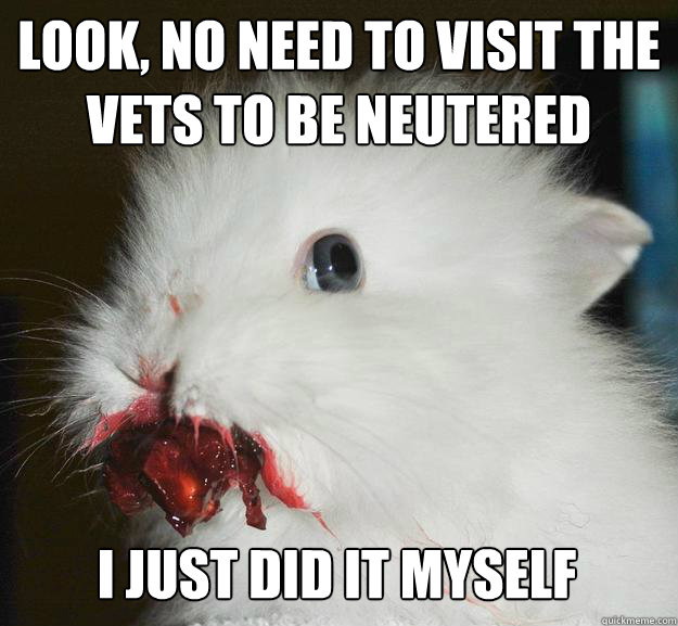 Look, no need to visit the vets to be neutered  I just did it myself  Murder Bunny