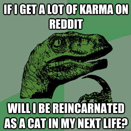 if I get a lot of karma on reddit will I be reincarnated as a cat in my next life? - if I get a lot of karma on reddit will I be reincarnated as a cat in my next life?  Philosoraptor