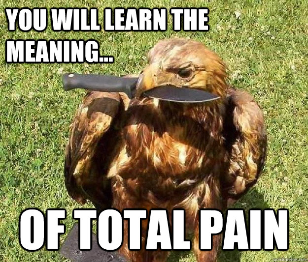 You will learn the meaning... of total pain  