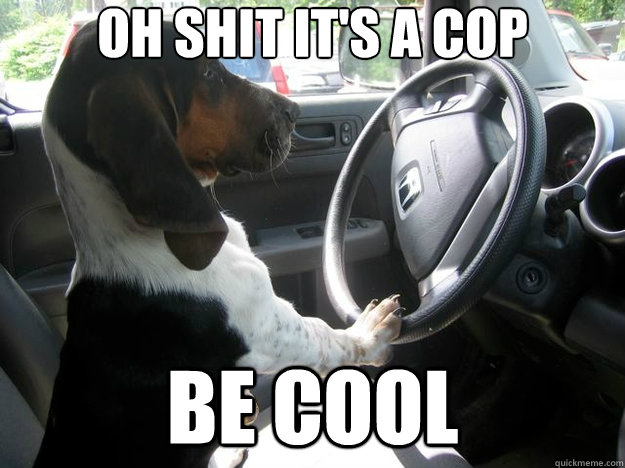 oh shit it's a cop be cool  