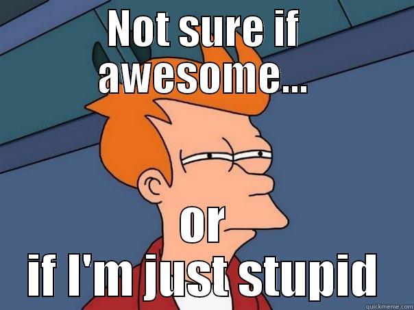 NOT SURE IF AWESOME... OR IF I'M JUST STUPID Futurama Fry