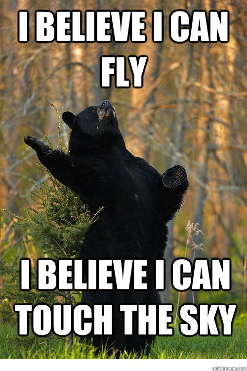I BELIEVE I CAN FLY I believe i can touch the sky  Fabulous Bear
