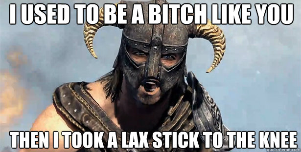 i used to be a bitch like you then i took a lax stick to the knee  skyrim
