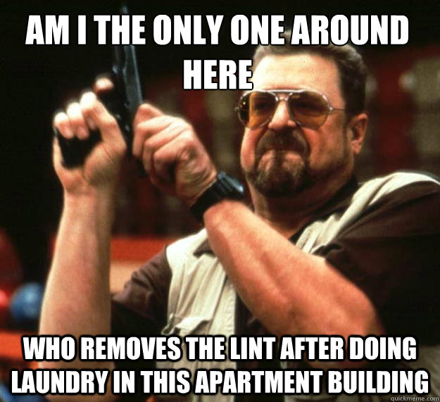 Am I the only one around here who removes the lint after doing laundry in this apartment building  Walter