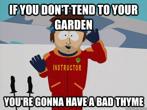 If you don't tend to your garden You're gonna have a bad thyme - If you don't tend to your garden You're gonna have a bad thyme  mcbadtime