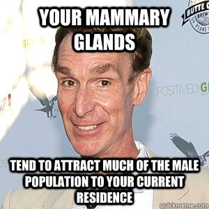 Your mammary glands tend to attract much of the male population to your current residence - Your mammary glands tend to attract much of the male population to your current residence  bill nye happy birthday