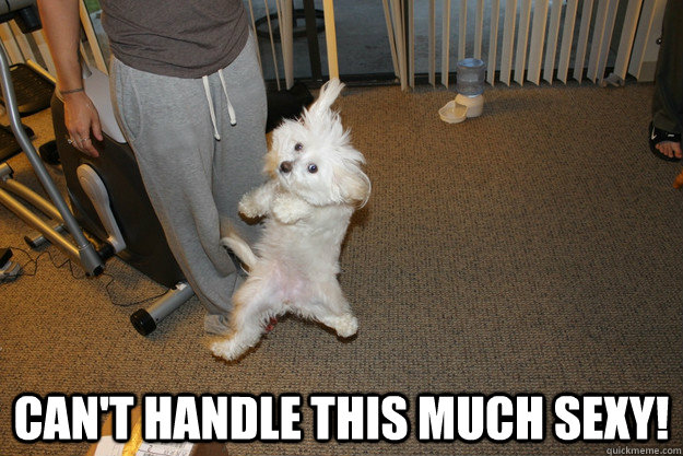 can't handle this much sexy!  