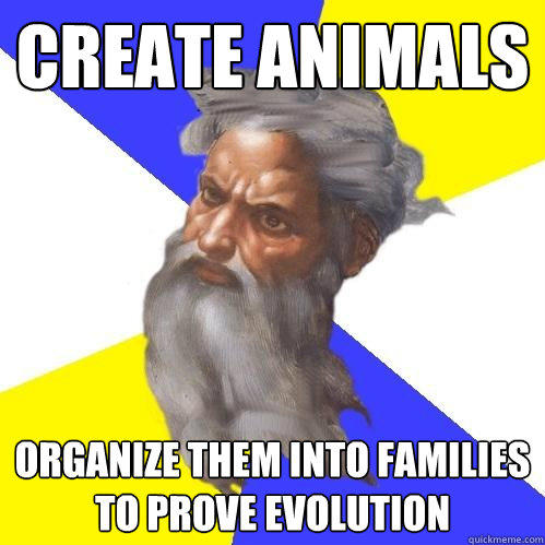 Create animals organize them into families to prove evolution  Advice God