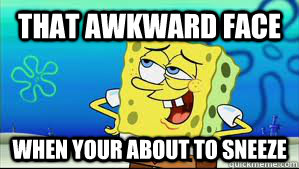 that awkward face when your about to sneeze  sponge