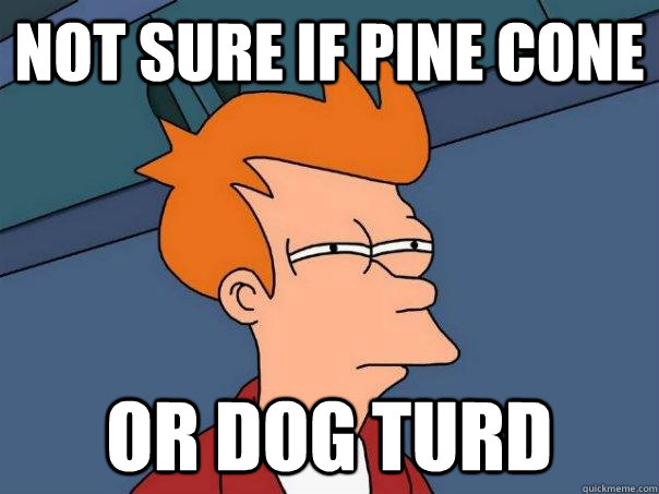 Not sure if pine cone or dog turd  Futurama Fry
