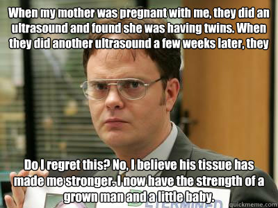 When my mother was pregnant with me, they did an ultrasound and found she was having twins. When they did another ultrasound a few weeks later, they discovered that I had adsorbed the other fetus.  Do I regret this? No, I believe his tissue has made me st - When my mother was pregnant with me, they did an ultrasound and found she was having twins. When they did another ultrasound a few weeks later, they discovered that I had adsorbed the other fetus.  Do I regret this? No, I believe his tissue has made me st  DwightISNOTAMEME