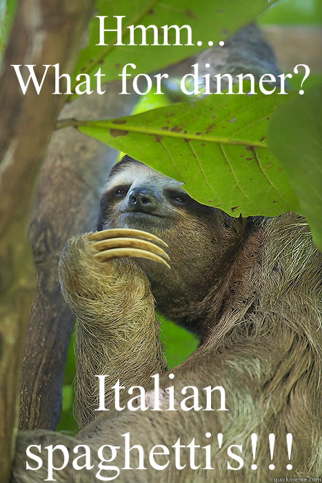 Hmm...
What for dinner? Italian spaghetti's!!!  Philososloth