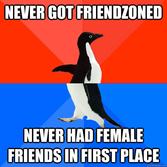 never got friendzoned never had female friends in first place  Socially Awesome Awkward Penguin