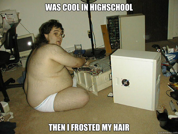 was cool in highschool then i frosted my hair - was cool in highschool then i frosted my hair  Basement Nerd