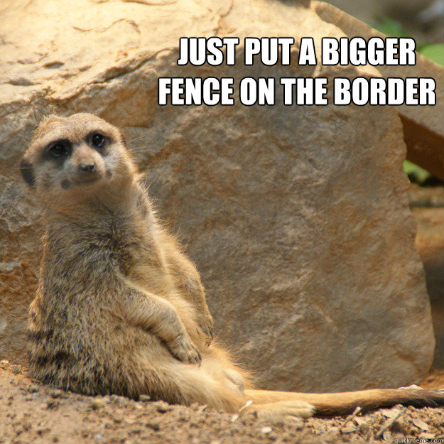 just put a bigger
fence on the border - just put a bigger
fence on the border  oversimplification meerkat