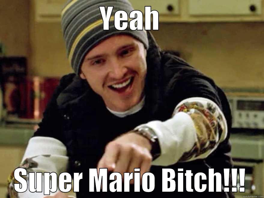 YEAH SUPER MARIO BITCH!!! Misc