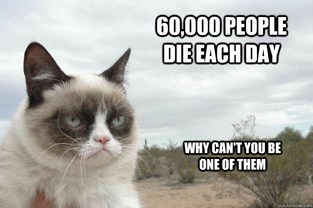60,000 people die each day  why can't you be one of them  Grump Cat