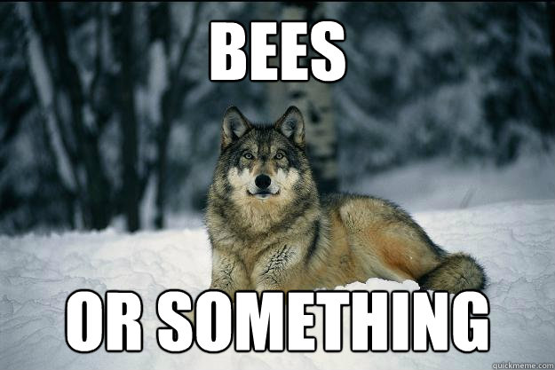 BEES OR SOMETHING  Wolf