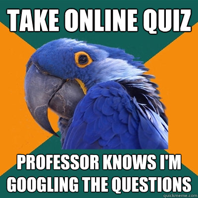 Take online Quiz Professor knows I'm googling the questions  Paranoid Parrot