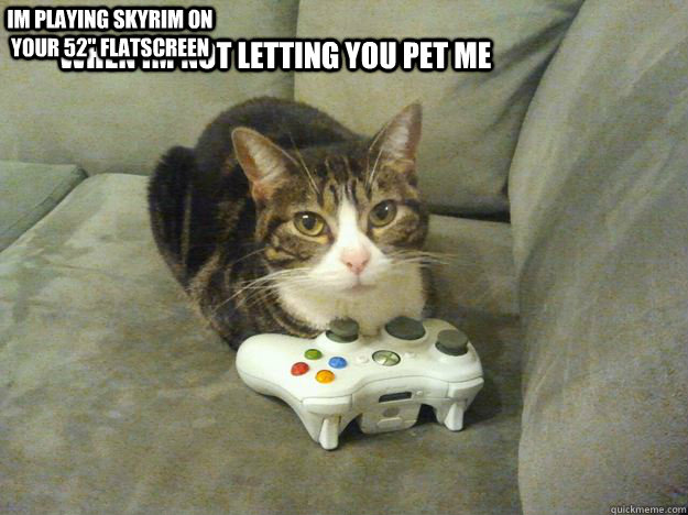 when im not letting you pet me im playing skyrim on your 52
