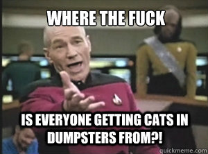 Where the fuck is everyone getting cats in dumpsters from?!  Annoyed Picard