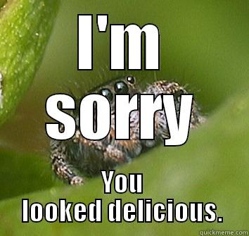 Spider Apology - I'M SORRY YOU LOOKED DELICIOUS. Misunderstood Spider
