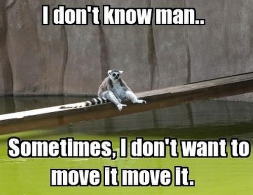 Sometimes, I don't want to move it move it. -   Misc