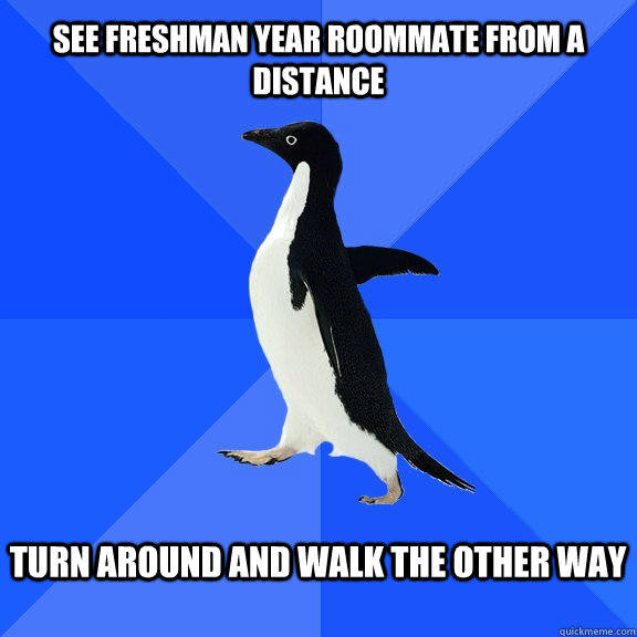 See Freshman year roommate from a distance  turn around and walk the other way   Socially Awkward Penguin