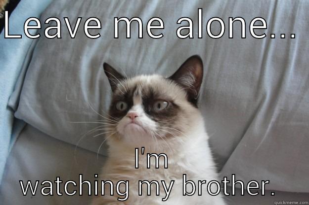 LEAVE ME ALONE...  I'M WATCHING MY BROTHER.  Grumpy Cat