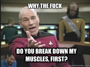 Why the fuck do you break down my muscles, first?  Annoyed Picard