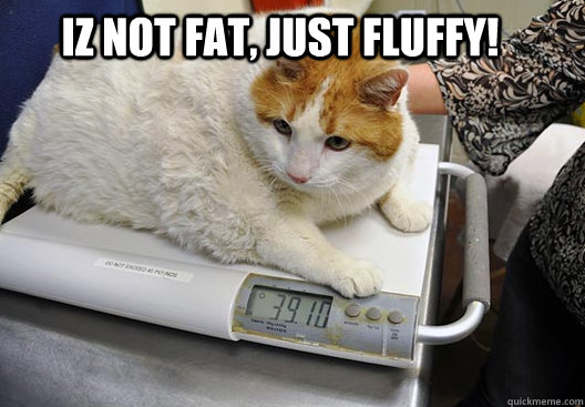 IZ NOT FAT, JUST FLUFFY!  
