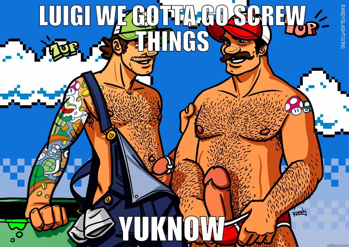 LUIGI WE GOTTA GO SCREW THINGS YUKNOW Misc