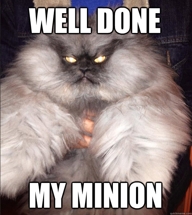 well done my minion  Evil Cat