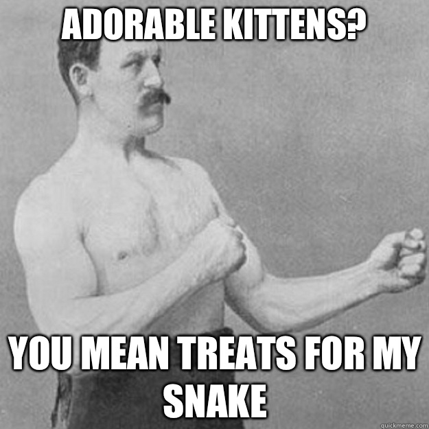 Adorable kittens?  you mean treats for my snake   overly manly man