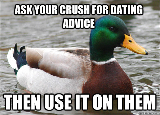 Ask your Crush for dating advice then use it on them  Actual Advice Mallard