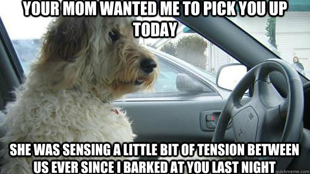 your mom wanted me to pick you up today she was sensing a little bit of tension between us ever since i barked at you last night    