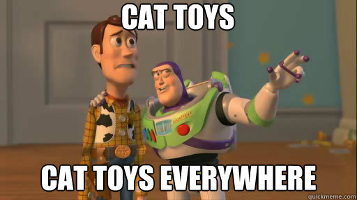 cat toys cat toys everywhere  Everywhere