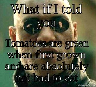 WHAT IF I TOLD YOU TOMATOES ARE GREEN WHEN FIRST GROWN AND ARE ABSOLUTELY NOT BAD TO EAT Matrix Morpheus