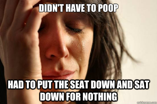 Didn't have to poop had to Put the seat down and sat down for nothing  First World Problems