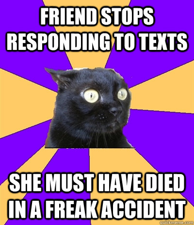 Friend stops responding to texts She must have died in a freak accident  Anxiety Cat