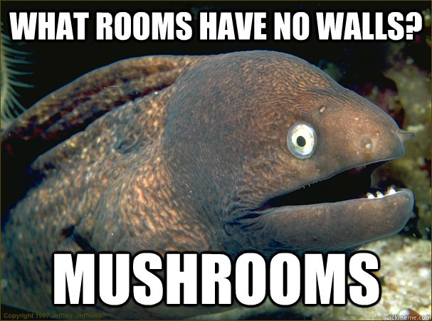 What rooms have no walls? mushrooms  Bad Joke Eel